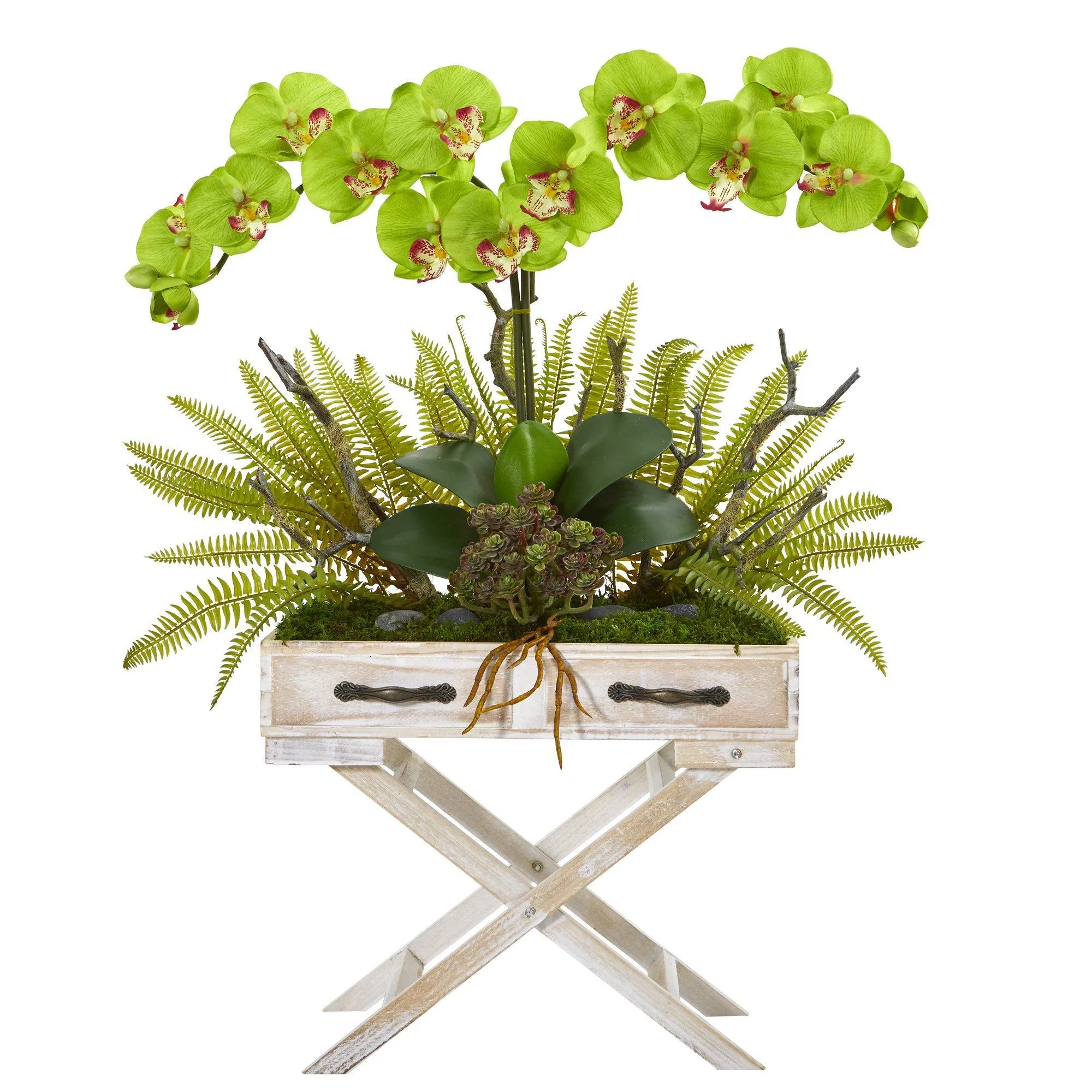 26” Orchid, Fern and Succulent Arrangement in Drawer Planter