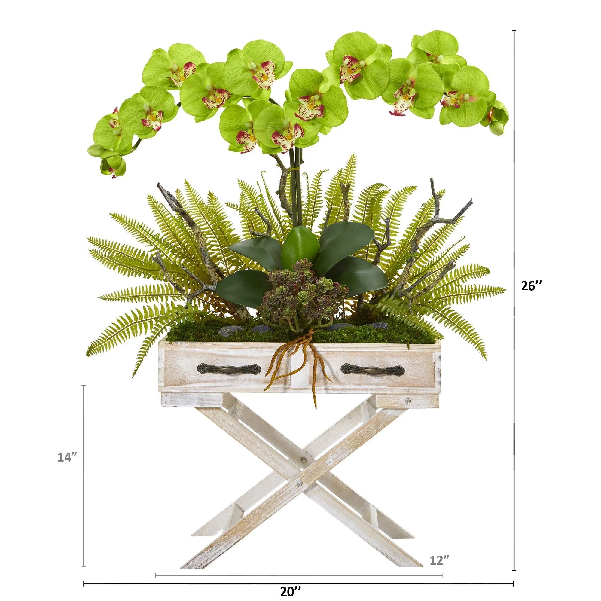 26” Orchid, Fern and Succulent Arrangement in Drawer Planter