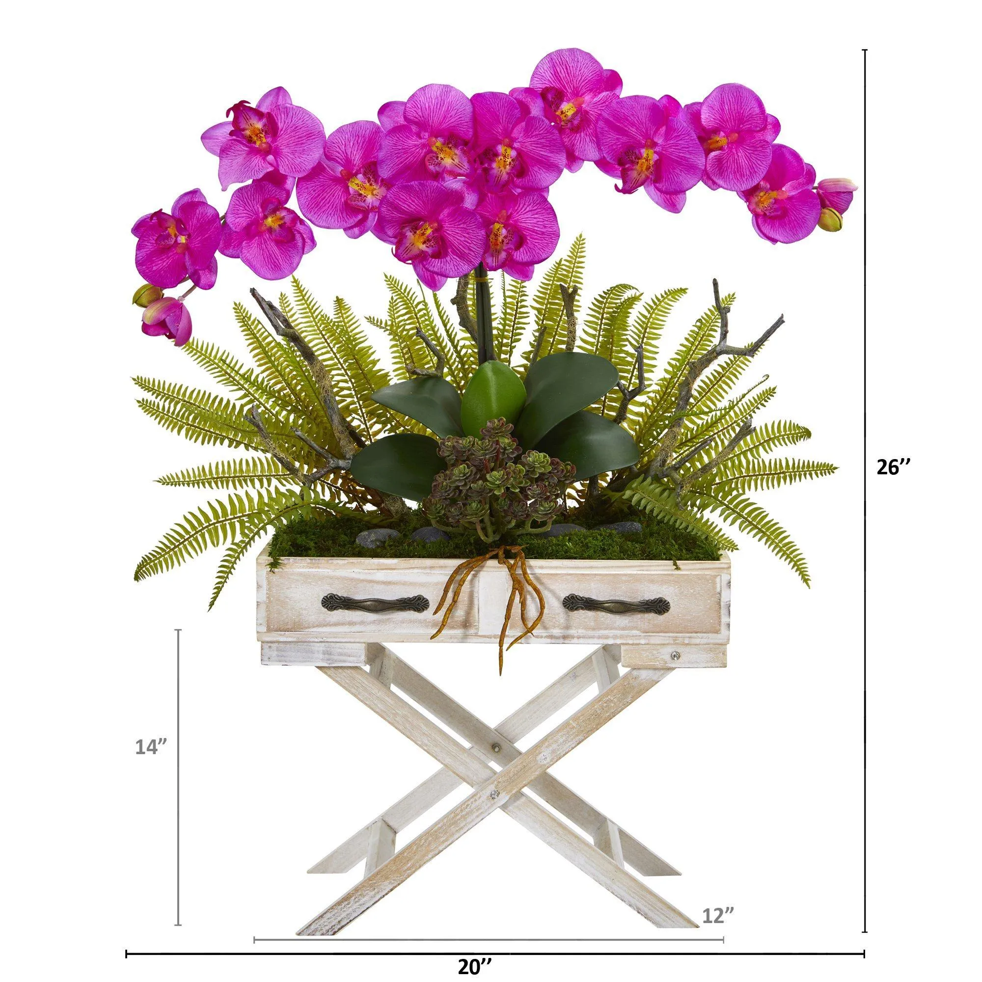 26” Orchid, Fern and Succulent Arrangement in Drawer Planter