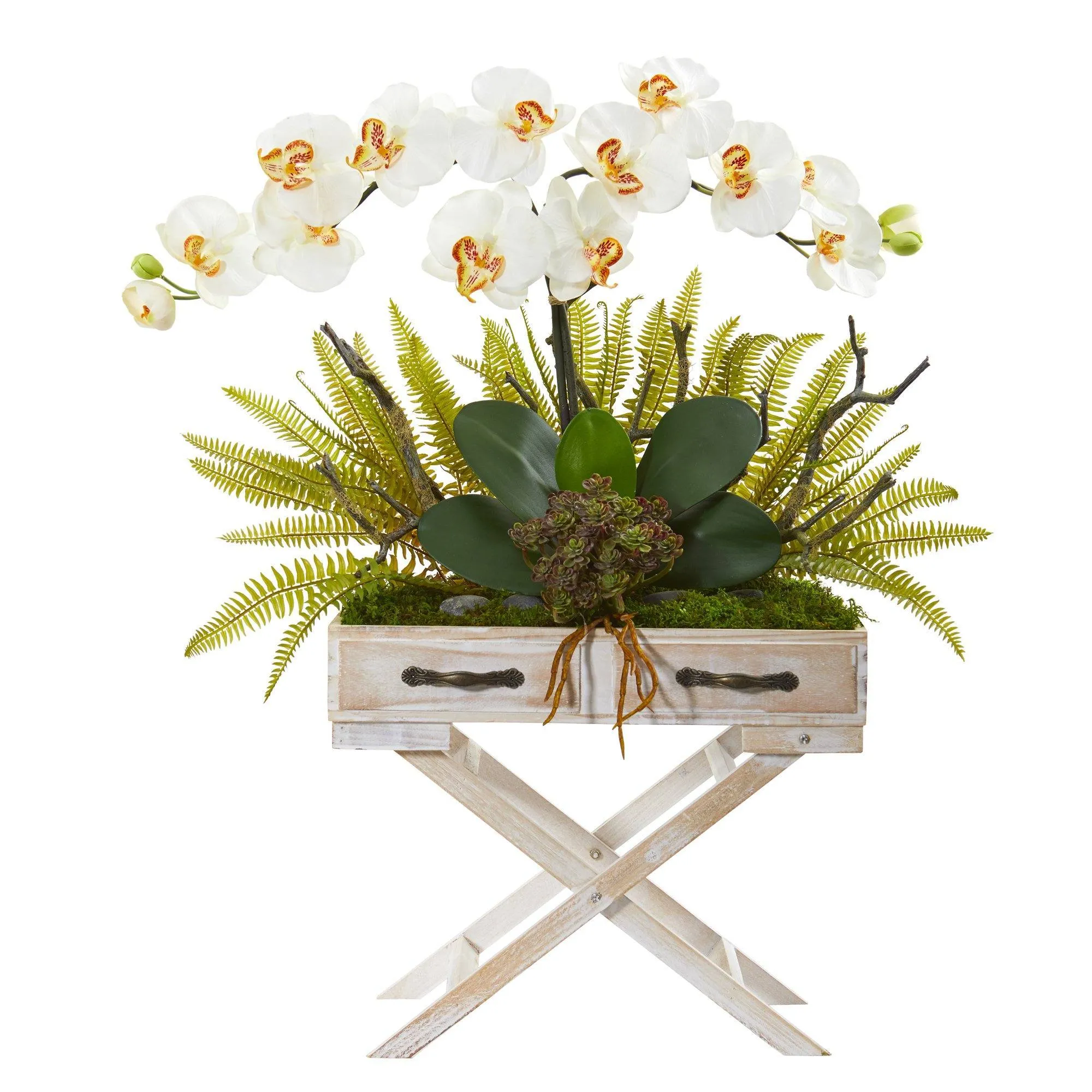 26” Orchid, Fern and Succulent Arrangement in Drawer Planter