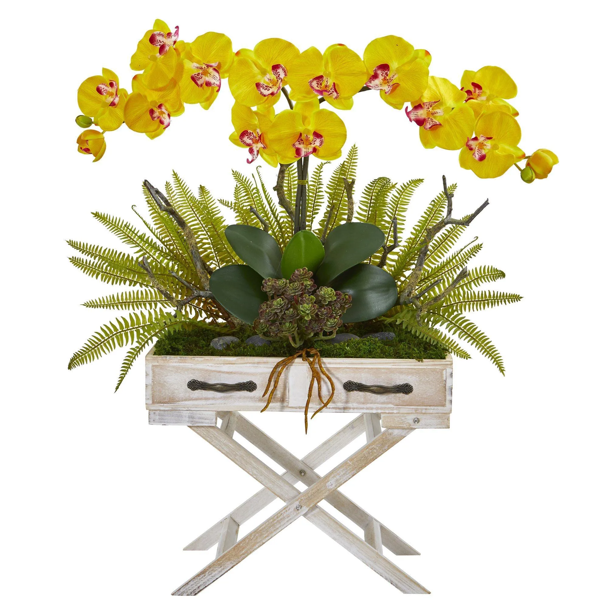 26” Orchid, Fern and Succulent Arrangement in Drawer Planter