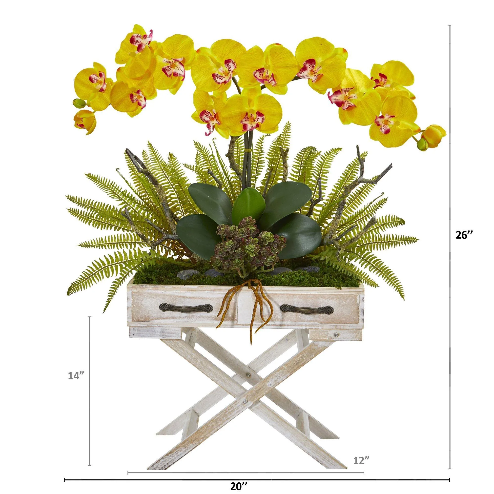 26” Orchid, Fern and Succulent Arrangement in Drawer Planter