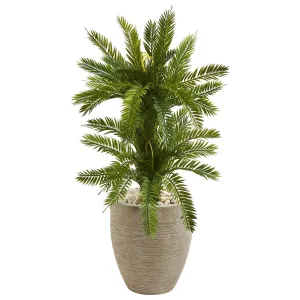 3’ Double Cycas Artificial Plant in Sand Colored Planter