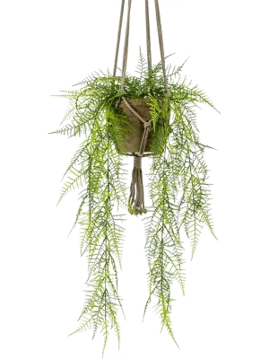 Asparagus Plumosus Artificial Plant Premium Faux 60cm Height