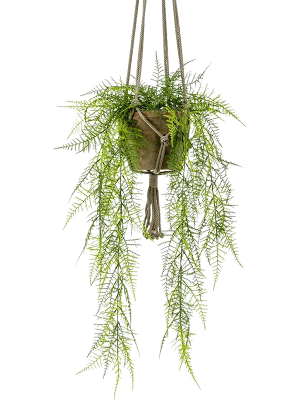 Asparagus Plumosus Artificial Plant Premium Faux 60cm Height