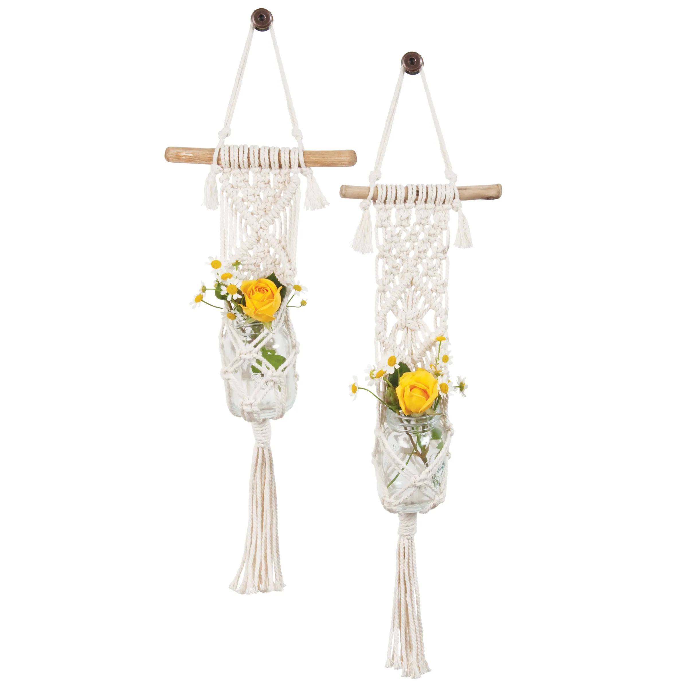 Best Sellers Macramé Bundle - Plant Kits