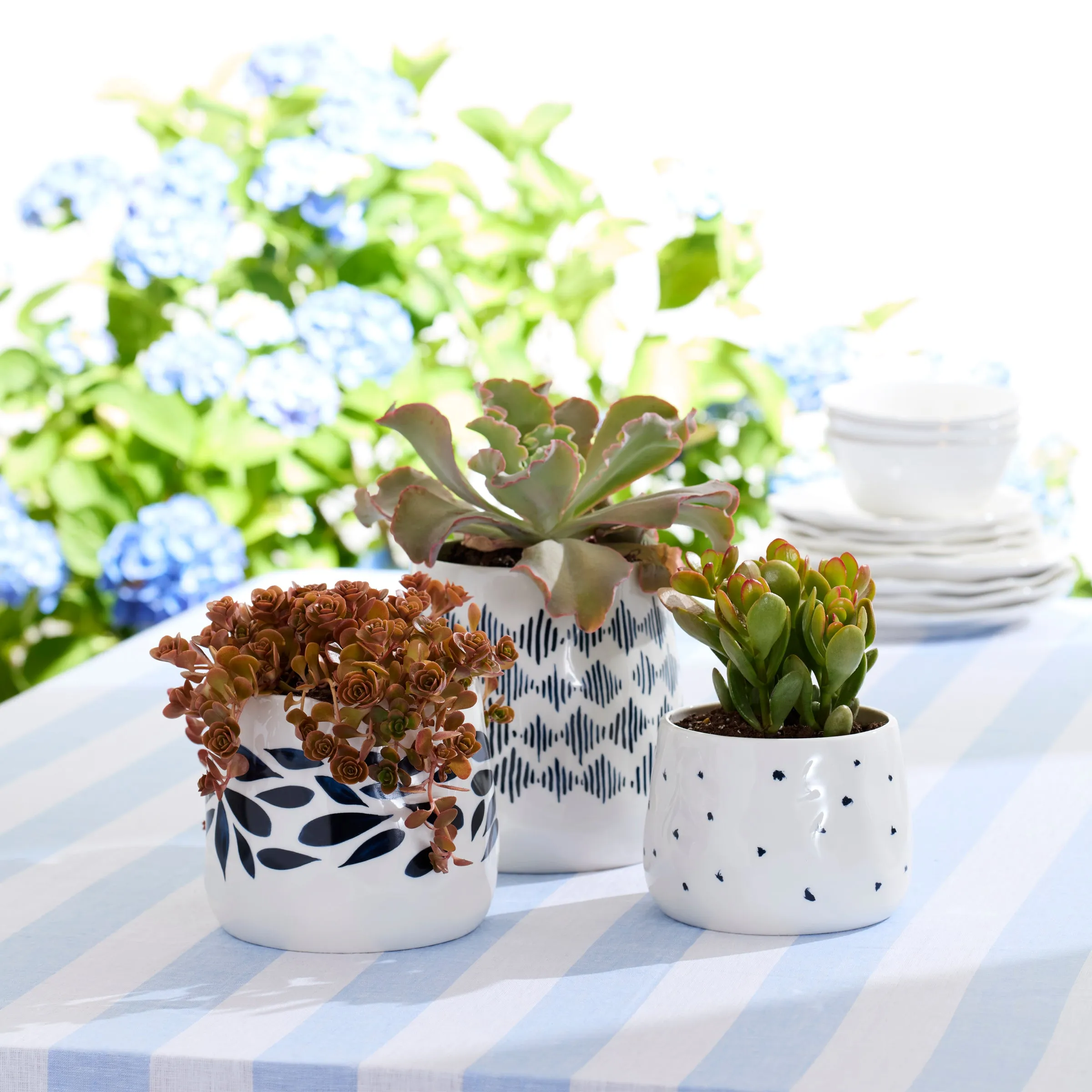 Blue Bay 3-Piece Canister Set