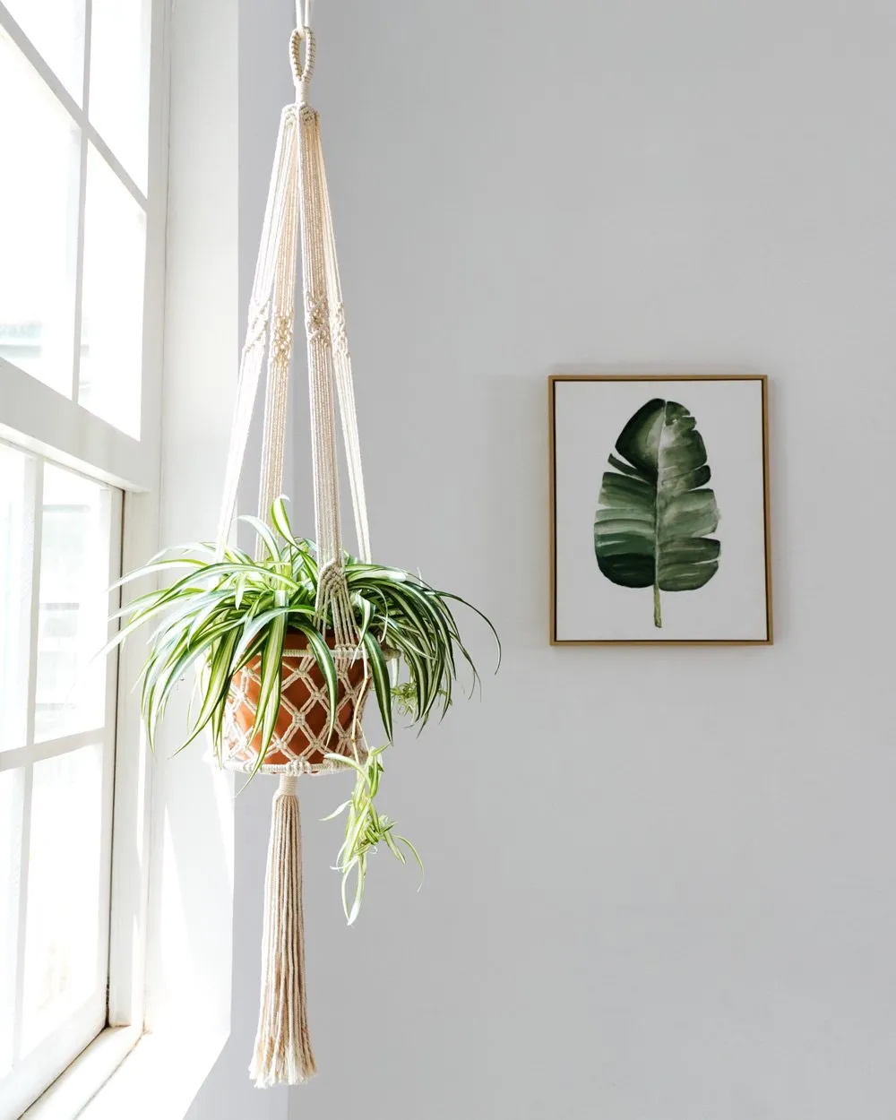 Boho Macrame Plant Hanger