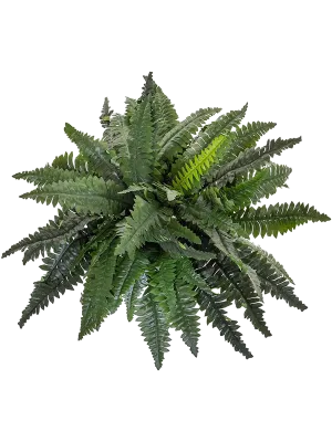 Boston Fern Artificial Plant Premium Faux 50cm Height