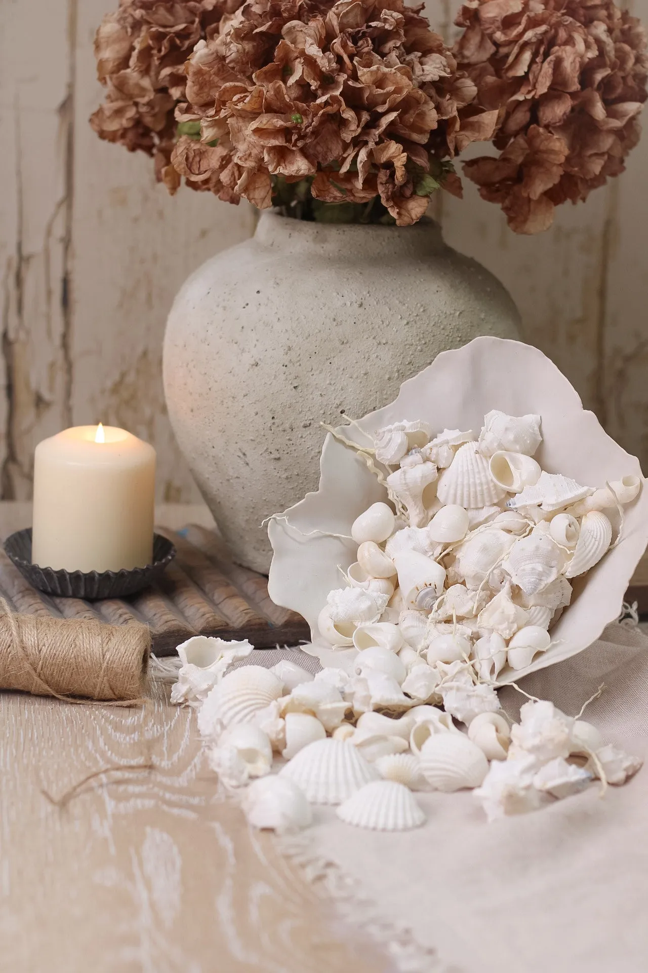 Box of Decorative Shells