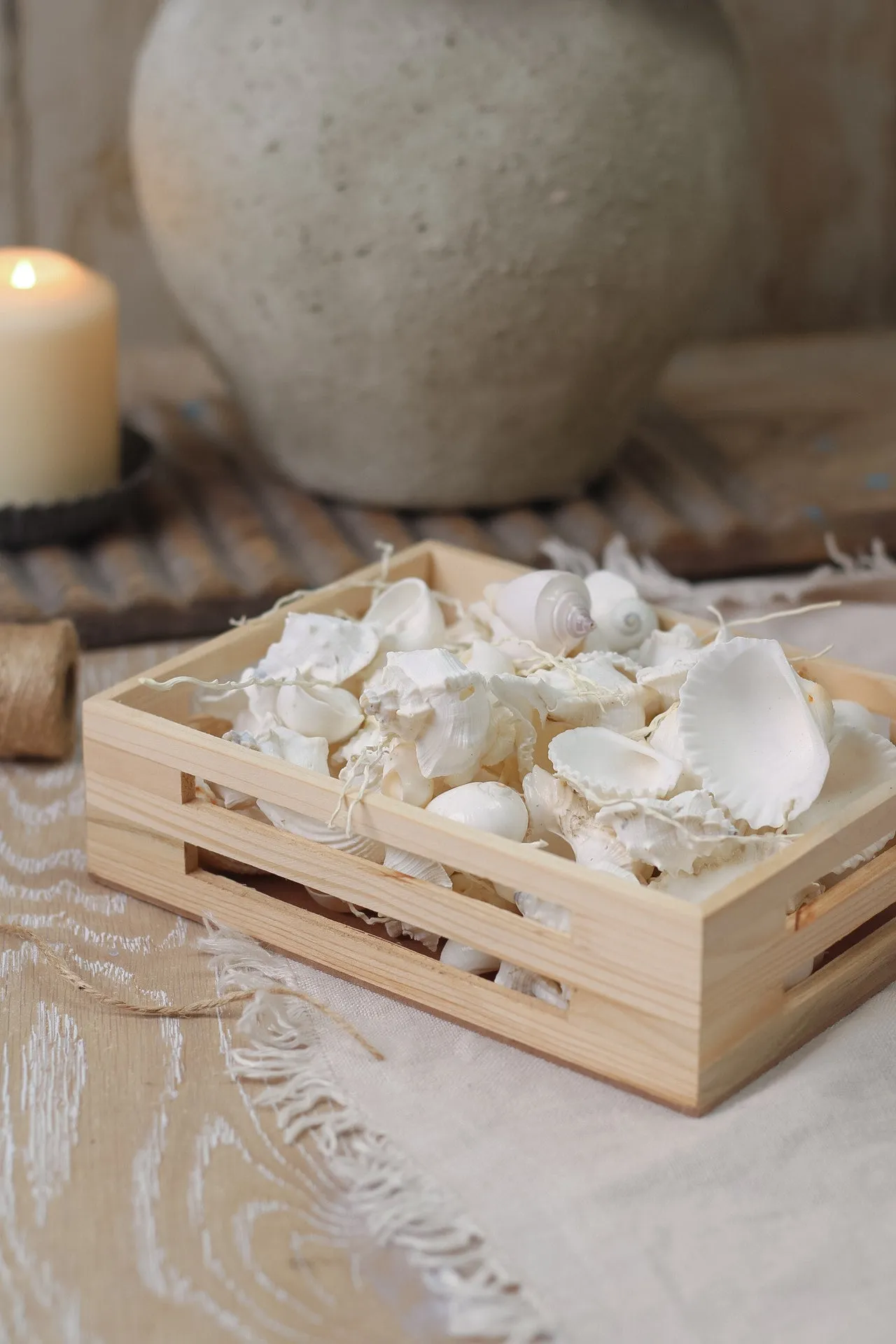 Box of Decorative Shells