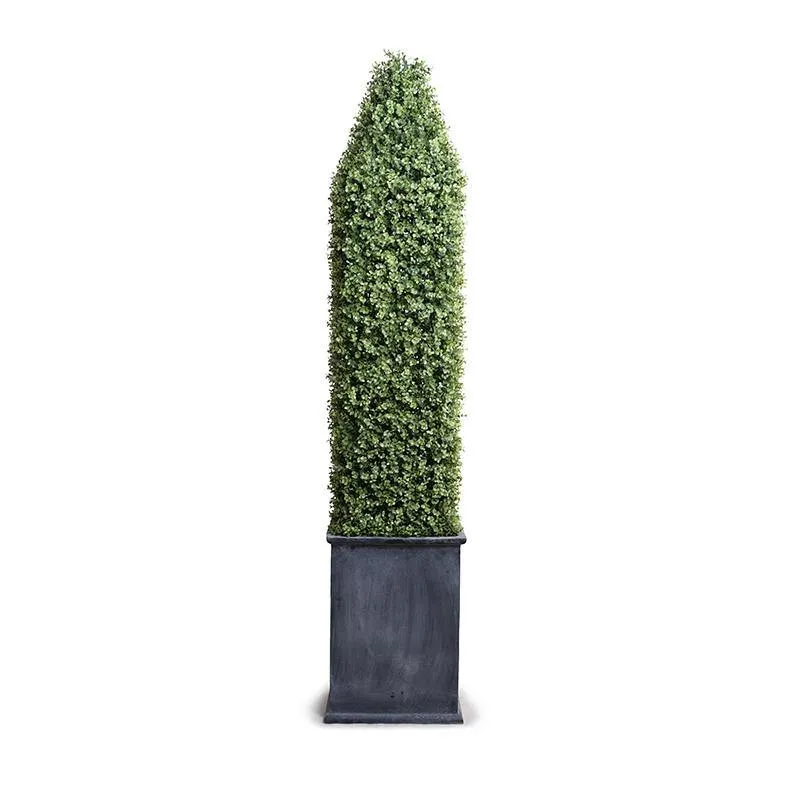 Boxwood Obelisk in Planter w/Lip 68"H