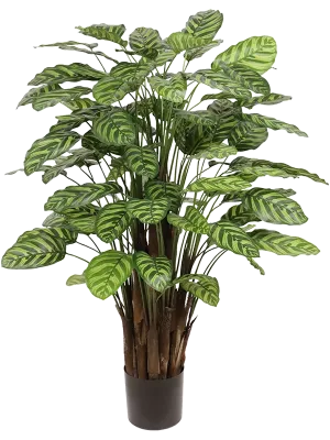 Calathea Makoyana Artificial Plant Premium Faux 115cm Height