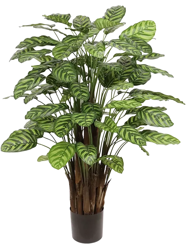 Calathea Makoyana Artificial Plant Premium Faux 115cm Height