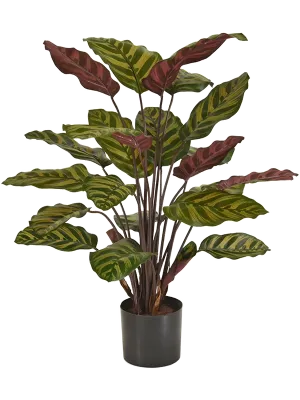 Calathea Makoyana Artificial Plant Premium Faux 60cm Height