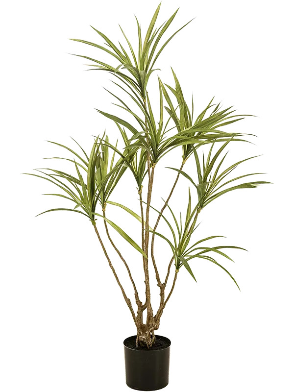 Dracaena Artificial Plant Premium Faux 120cm Height