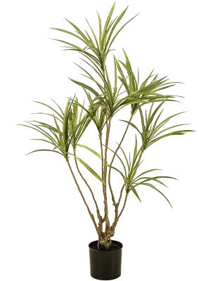 Dracaena Artificial Plant Premium Faux 120cm Height