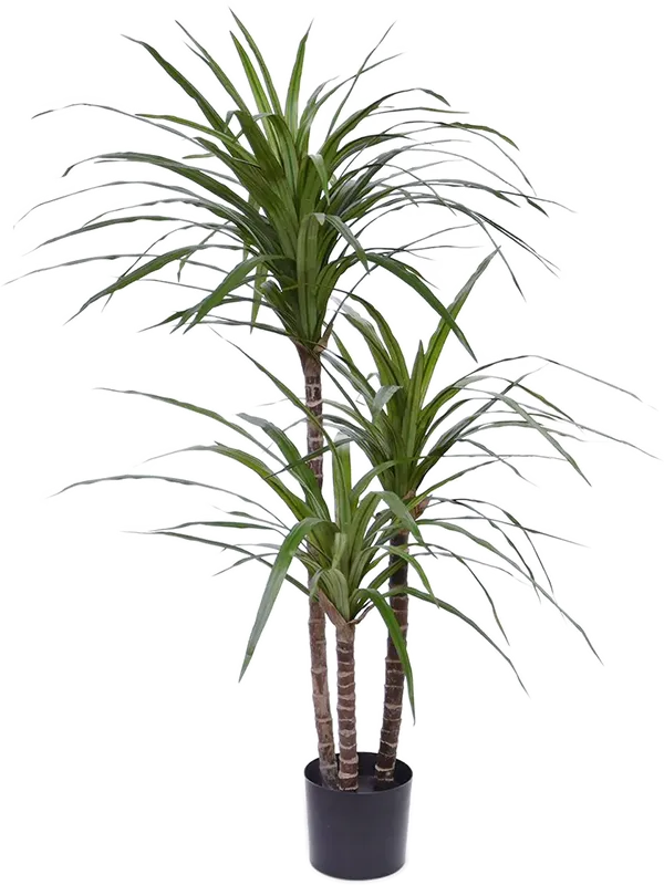 Dracaena Marginata Artificial Plant Premium Faux 100cm Height