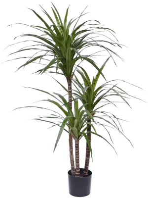 Dracaena Marginata Artificial Plant Premium Faux 100cm Height