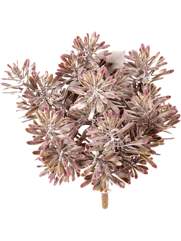 Dusty Miller Artificial Plant Premium Faux 18cm Height