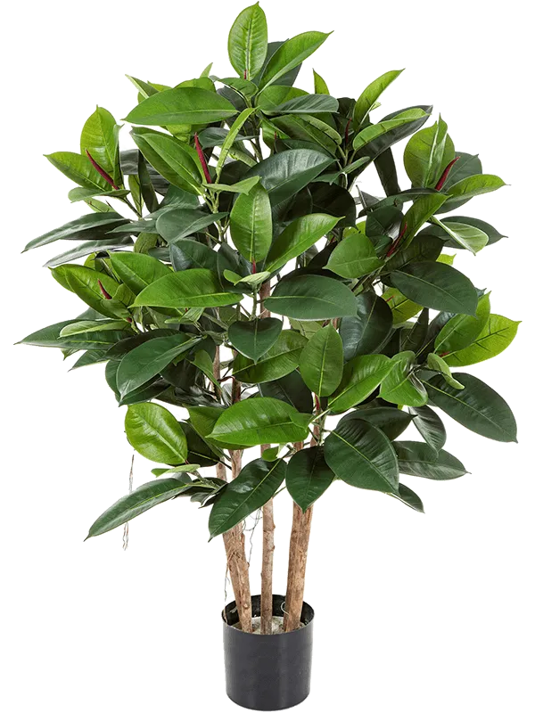 Ficus Elastica Artificial Plant Premium Faux 120cm Height