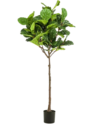 Ficus Lyrata Artificial Plant Premium Faux 195cm Height