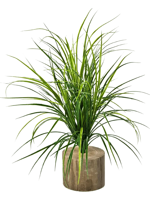 Grass Artificial Plant Premium Faux 75cm Height