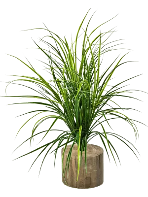 Grass Artificial Plant Premium Faux 75cm Height