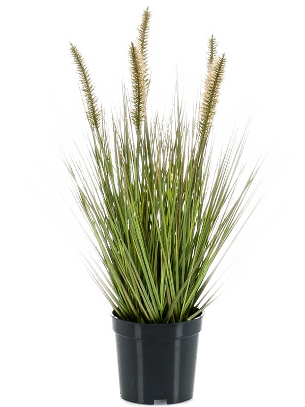 Grass Pennisetum Artificial Plant Premium Faux 45cm Height