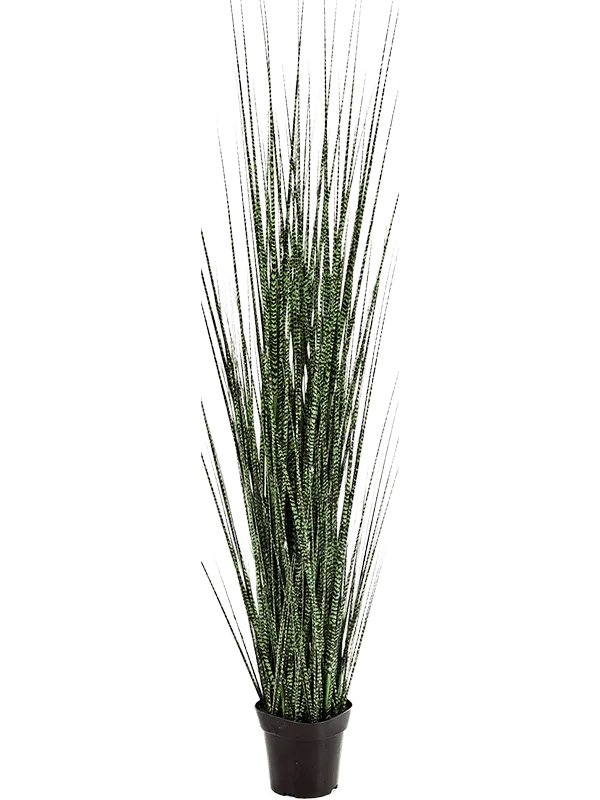 Grass Zebra Gracilis Artificial Plant Premium Faux 120cm Height