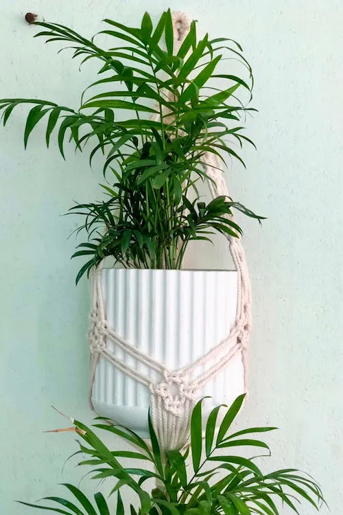 HoM Handcrafted Macrame two-tier Plant Hanger (Variant 1)