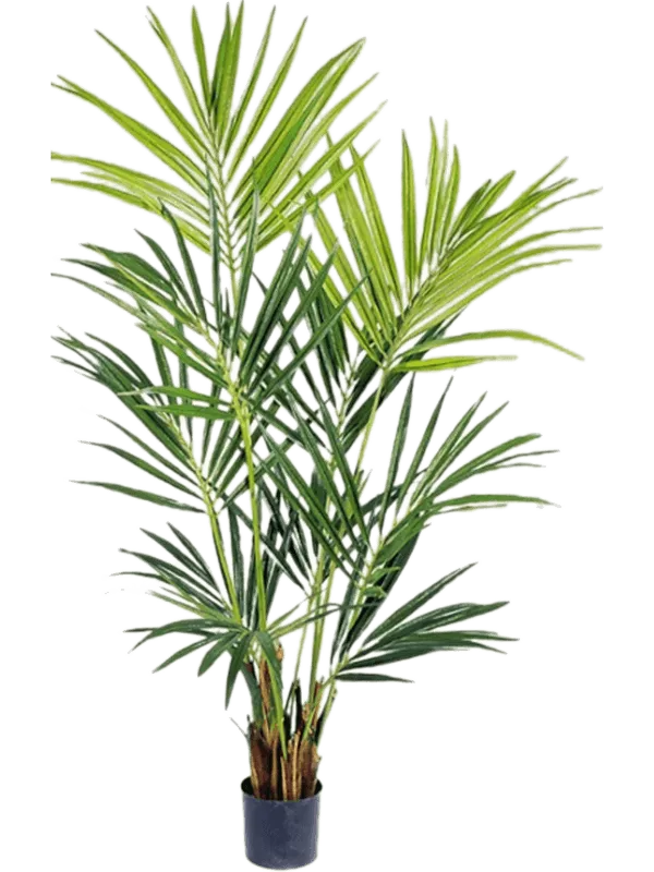 Kentia Artificial Plant Premium Faux 172cm Height