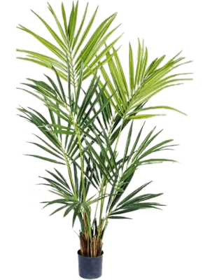 Kentia Artificial Plant Premium Faux 172cm Height