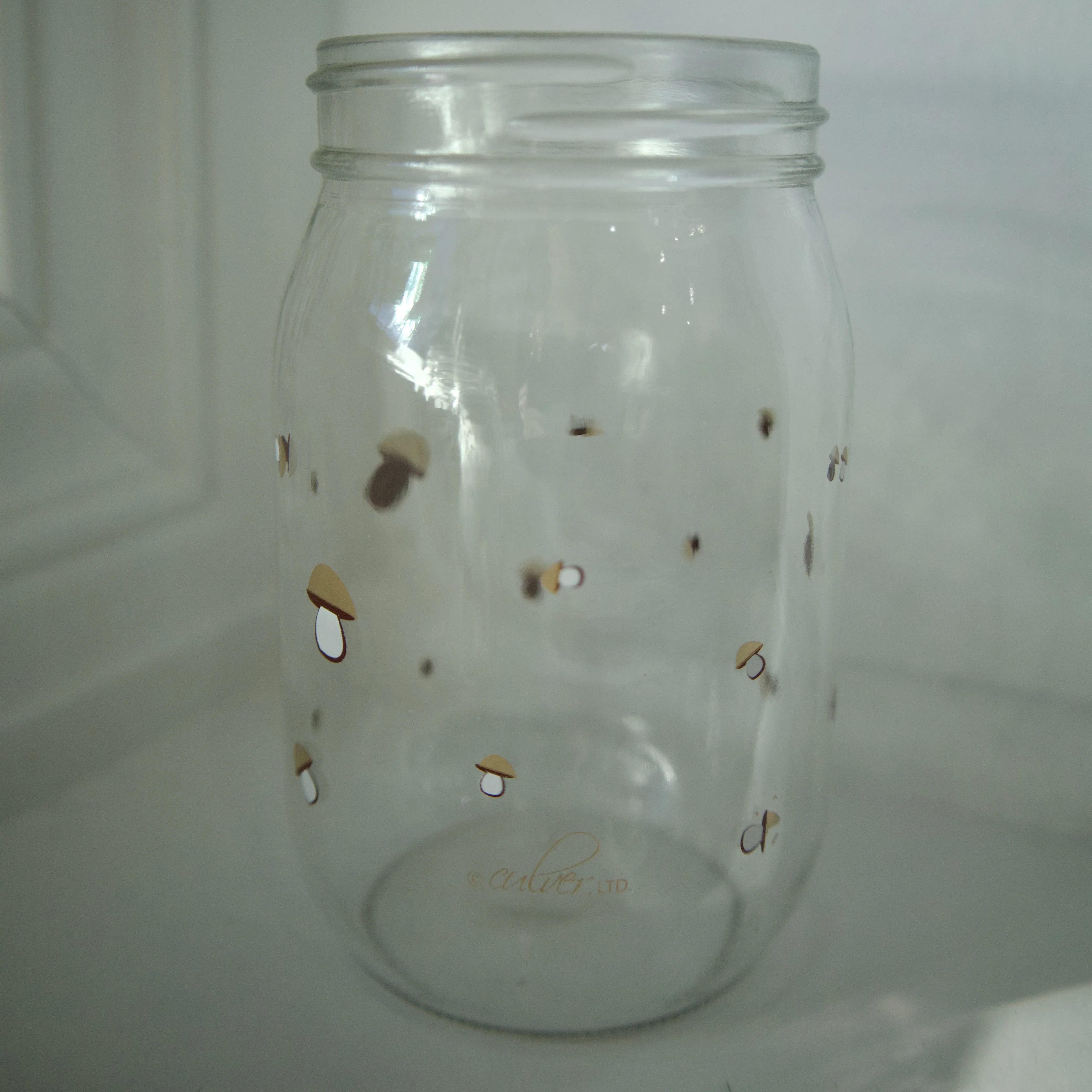 Lil Summer Shrooms Mason Jar