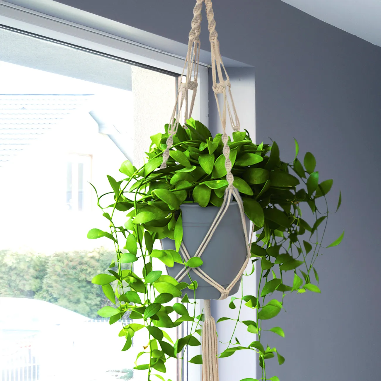 Macramé Plant Hanger (4 Pack)