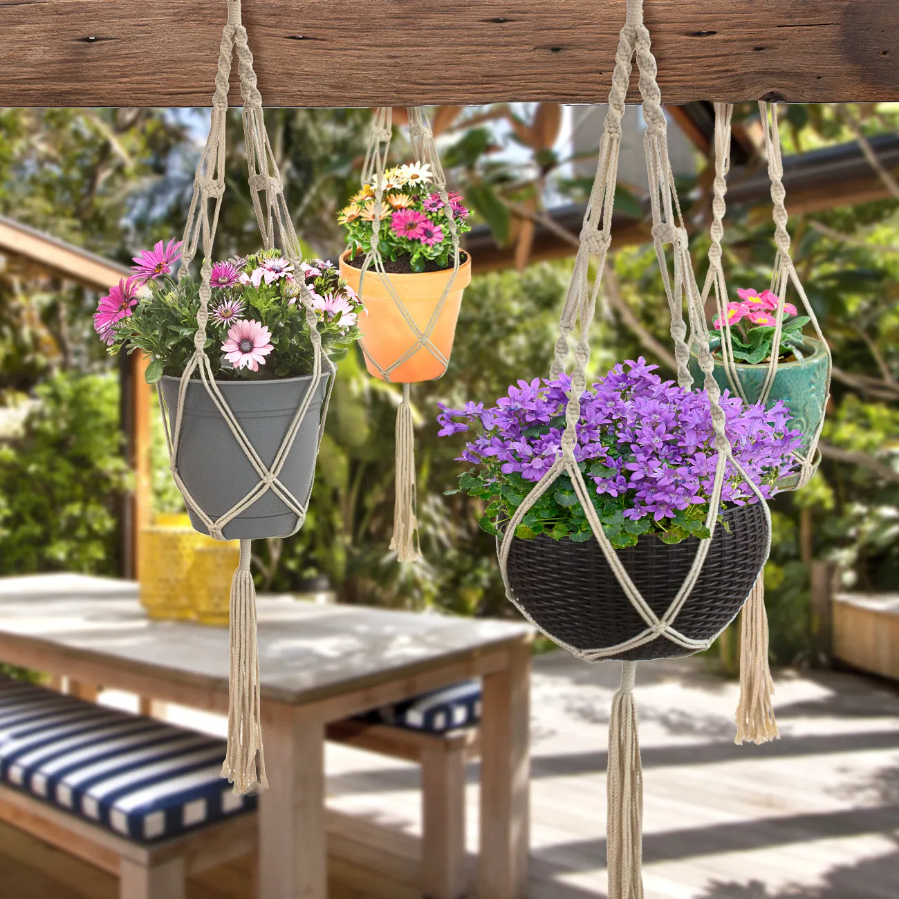 Macramé Plant Hanger (4 Pack)