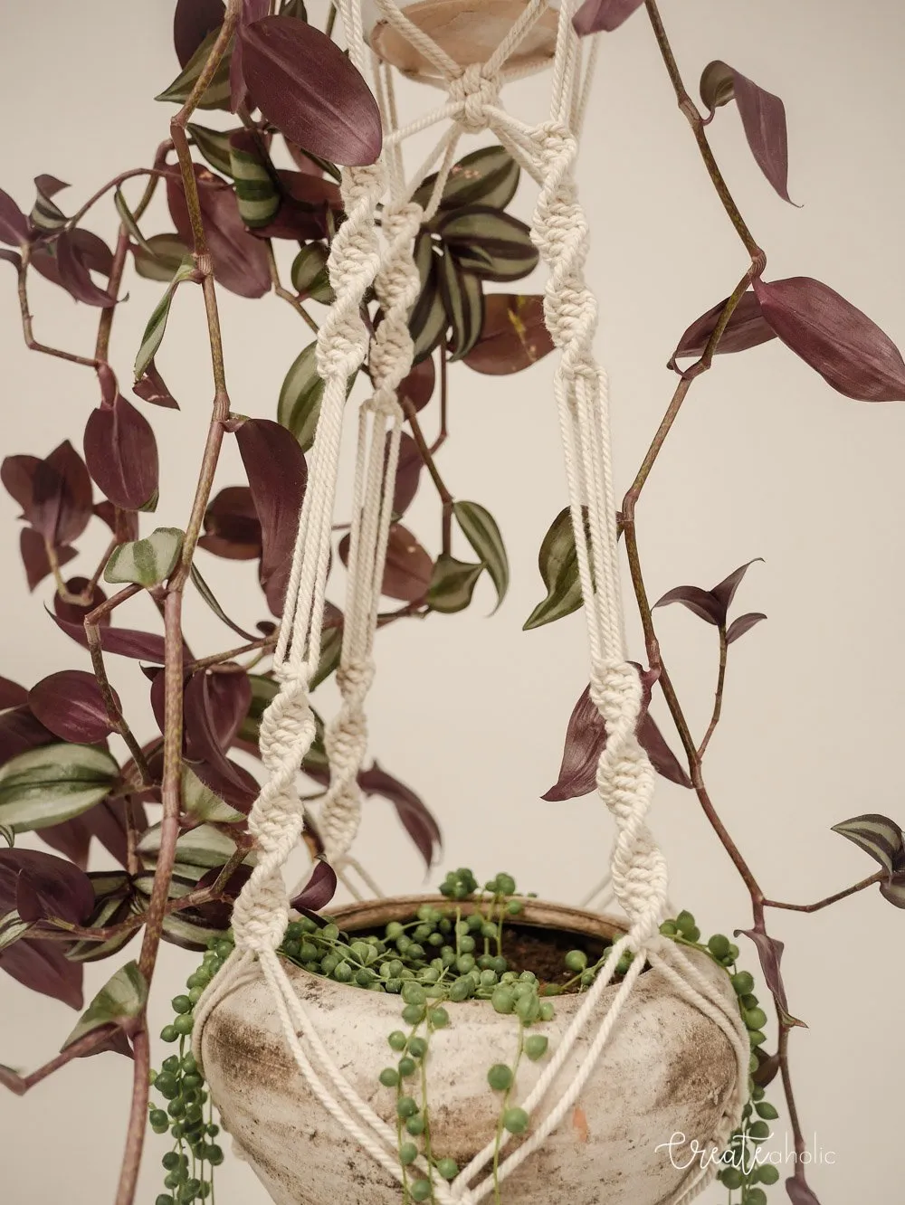 Macramé plant hanger, "Jungle Trail"