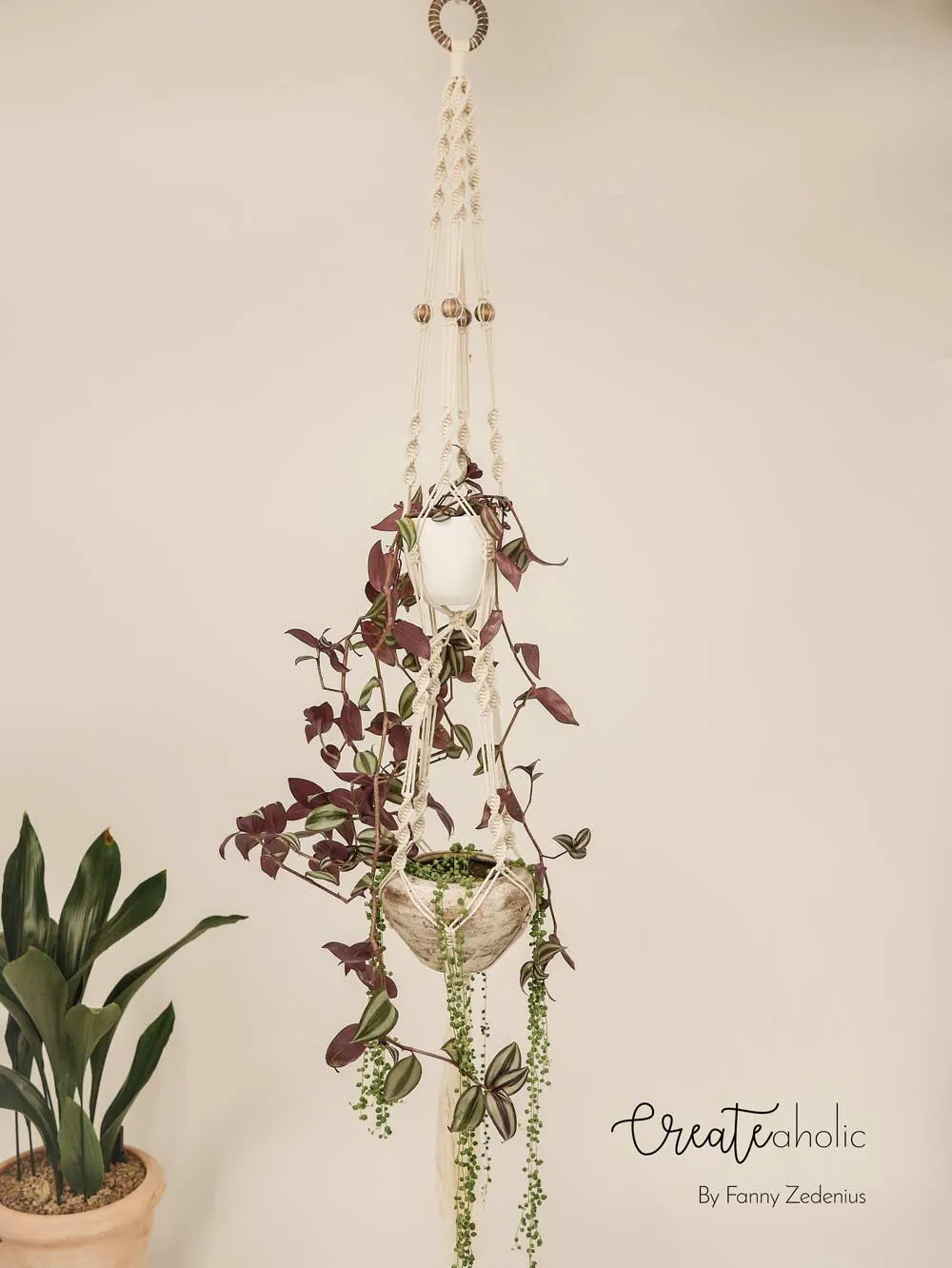 Macramé plant hanger, "Jungle Trail"