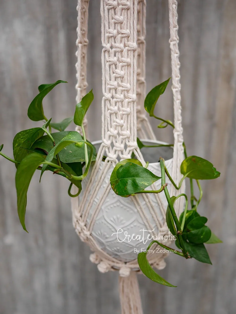 Macramé plant hanger, "Royals" #1