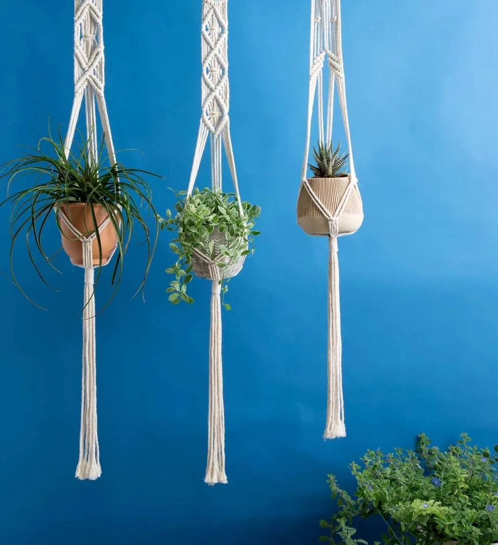 Macrame Plant Hanger (Pack of 3)