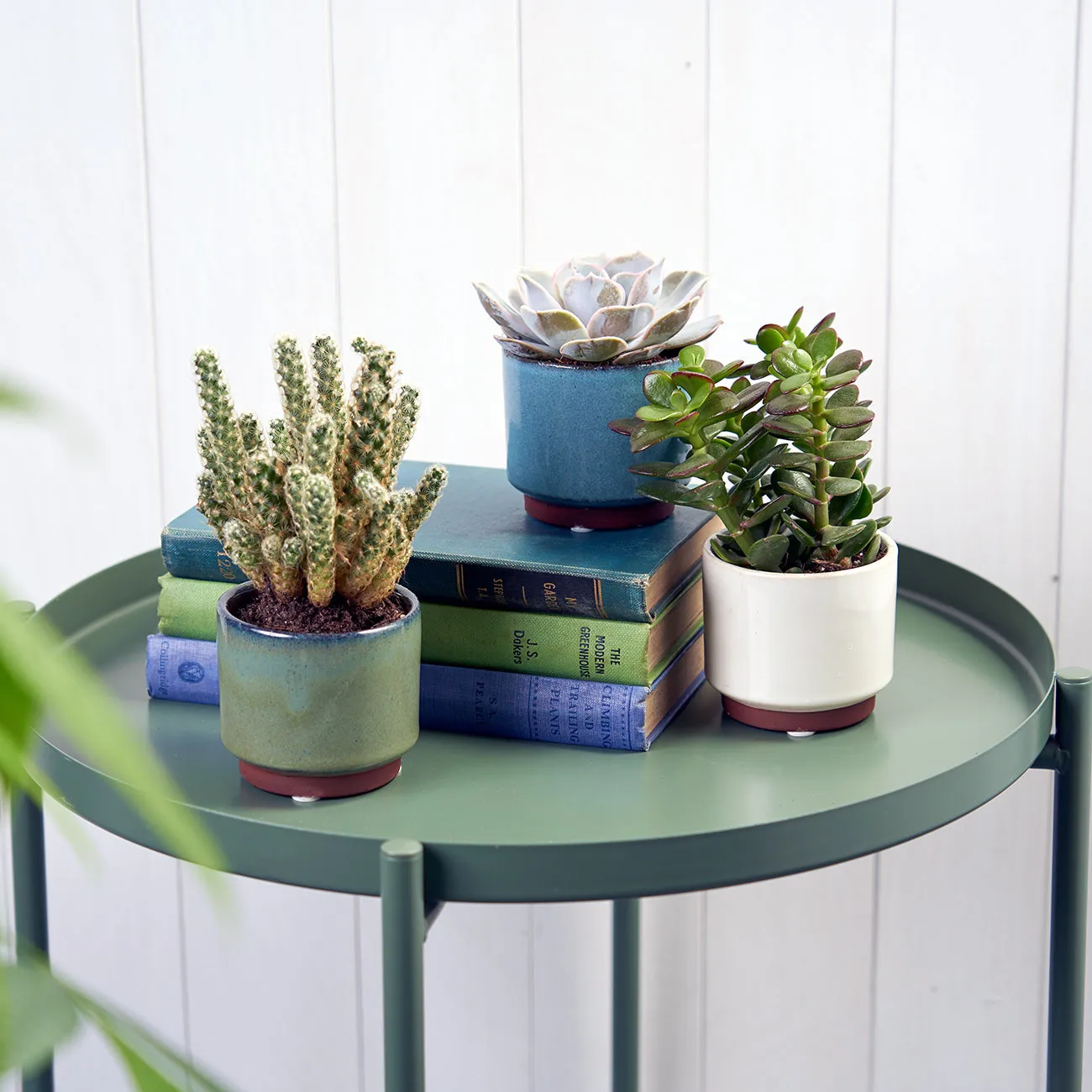 Malibu Succulent Pot - Cream