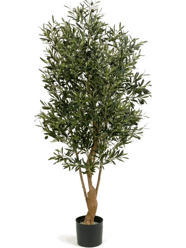 Olive Artificial Plant Premium Faux 150cm Height