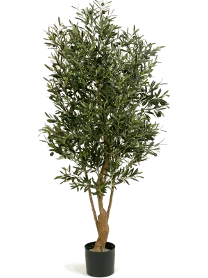 Olive Artificial Plant Premium Faux 150cm Height