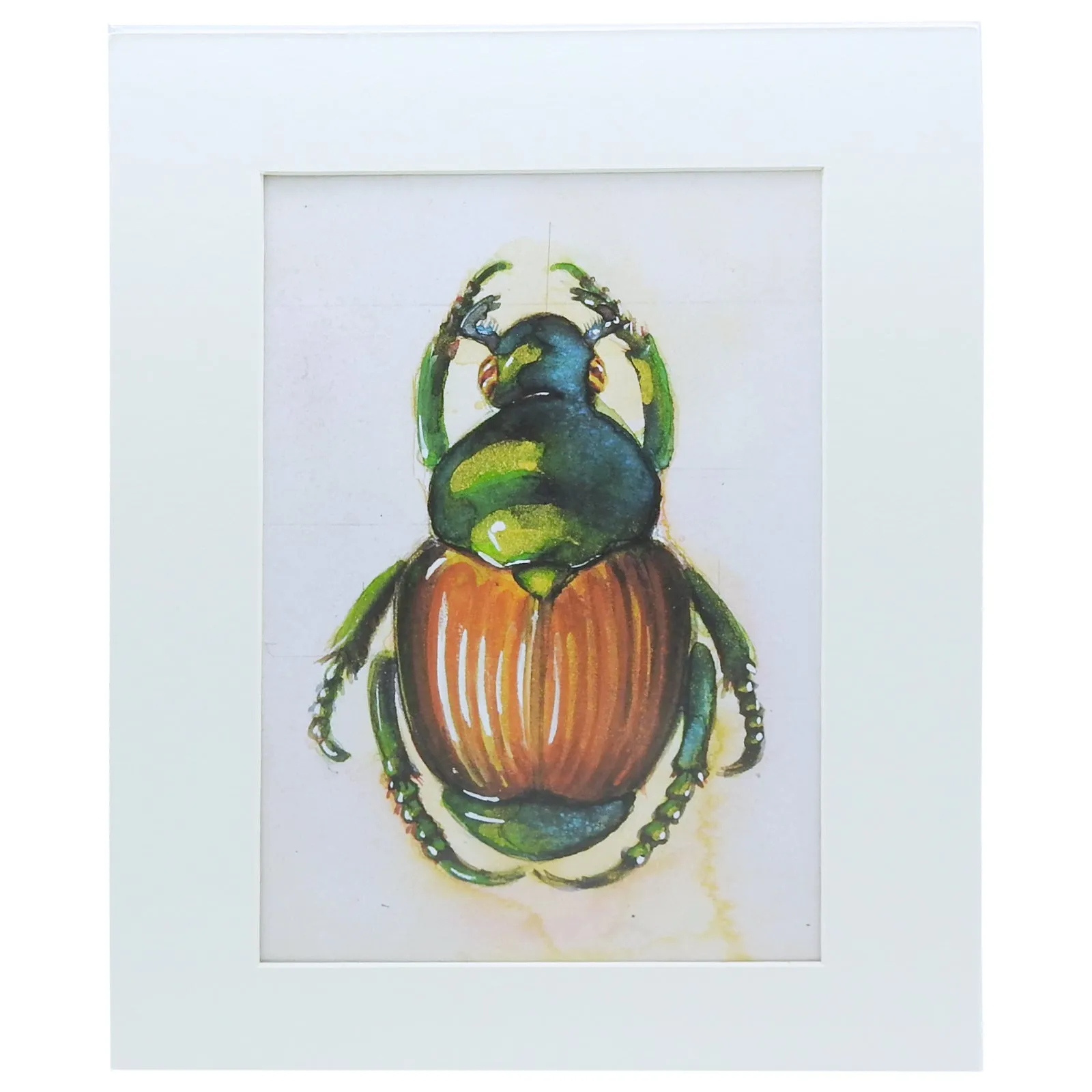 Peggy Macnamara Beetle Print