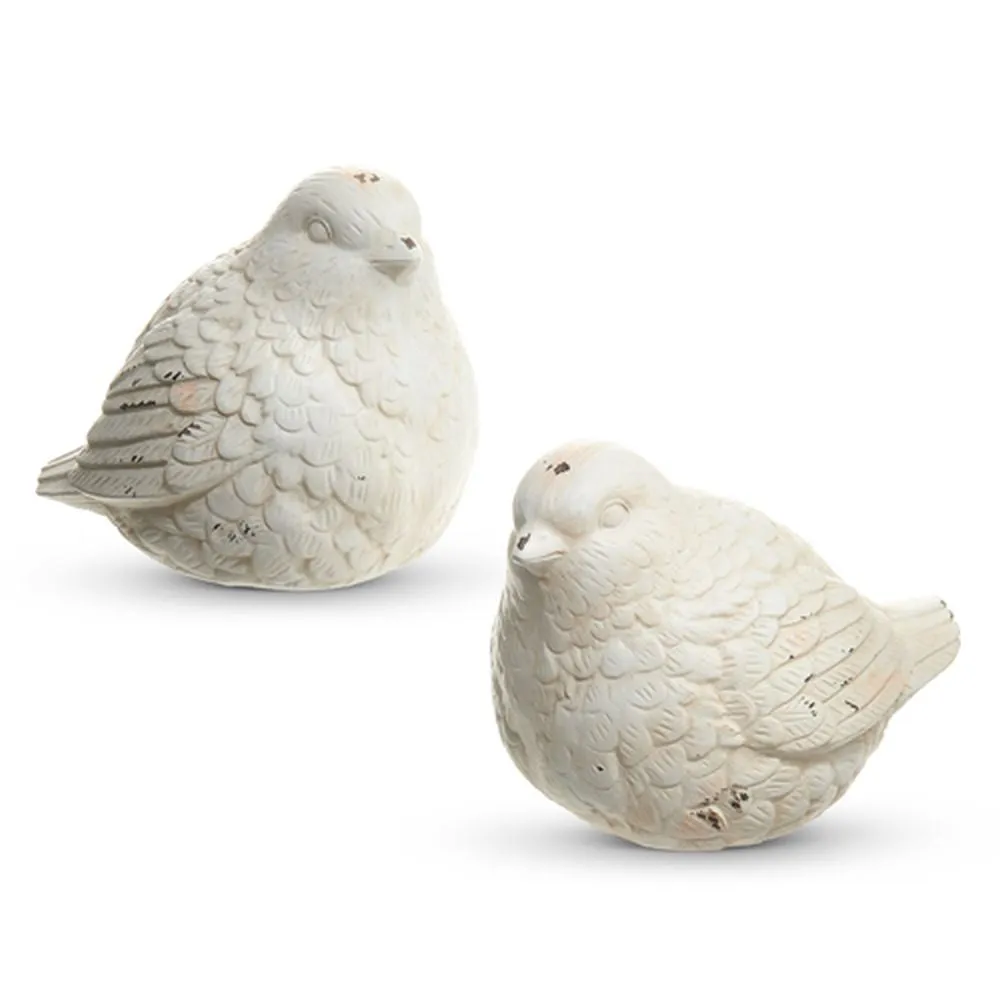 Raz Imports 2024 Green Meadows 6.5" Whitewash Bird, Asst of 2