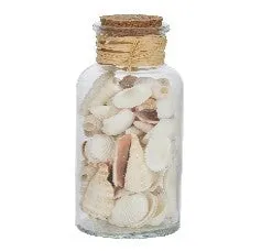 Seashell In Glass Jar