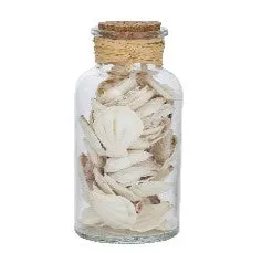 Seashell In Glass Jar