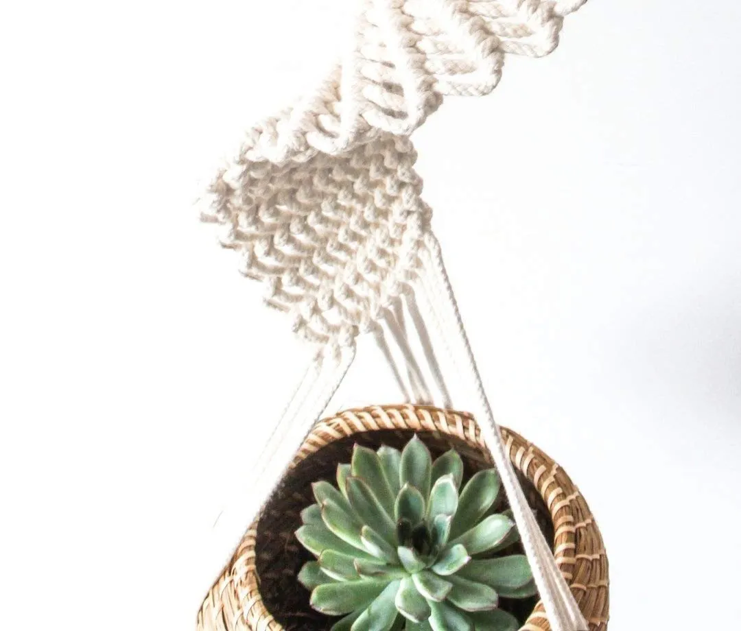 Spiral Macrame Plant Hanger