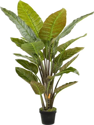 Strelitzia Artificial Plant Premium Faux 135cm Height