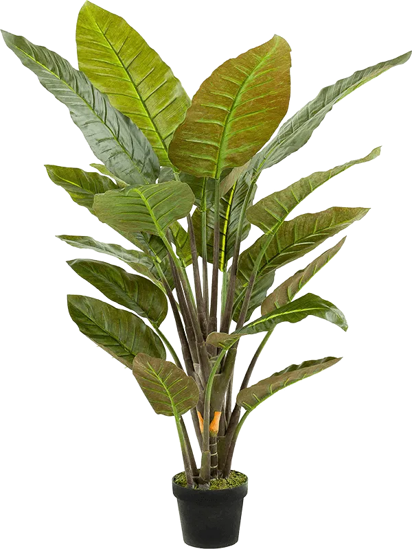 Strelitzia Artificial Plant Premium Faux 135cm Height